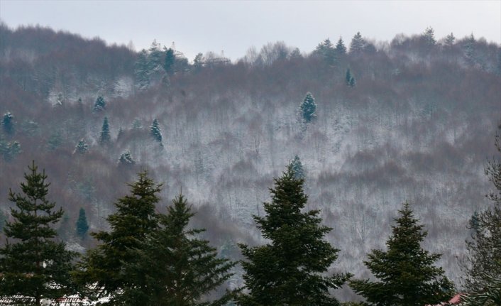 Bolu'nun yüksek kesimleri karla kaplandı