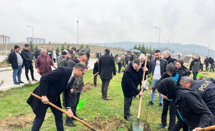 Boyabat’ta fidan dikim etkinliği düzenlendi