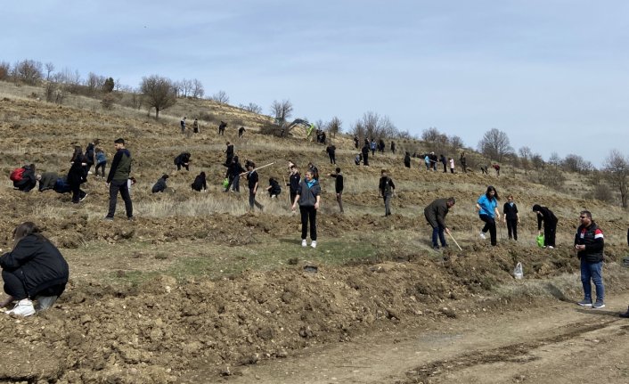 Havza'da 300 öğrenci 1000 fidanı toprakla buluşturdu