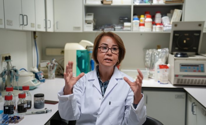 Hayvansal atıklardaki antibiyotiklerin nasıl azaltılabileceği araştırılıyor