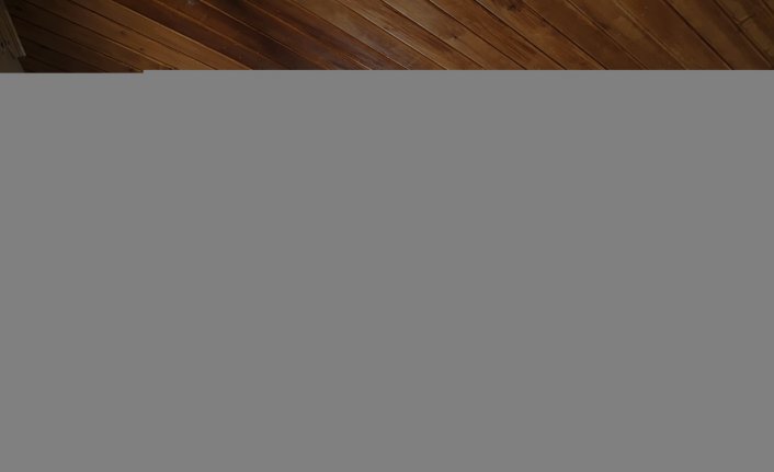 İhsangazi ilçesindeki Haracoğlu Türbesi'nin bakımı yapıldı