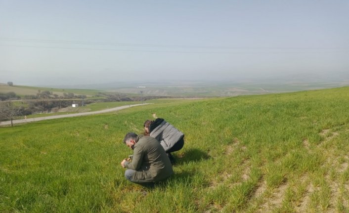 İskilip Ziraat Odası Başkanı Efe, çiftçileri hastalıklara karşı uyardı