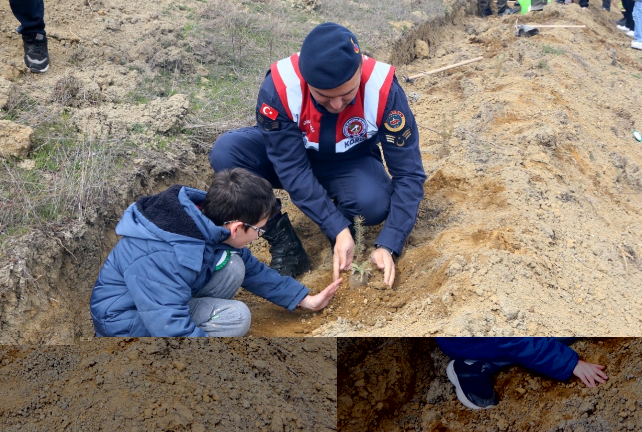 Karabük'te 3 bin 500 fidan toprakla buluşturuldu