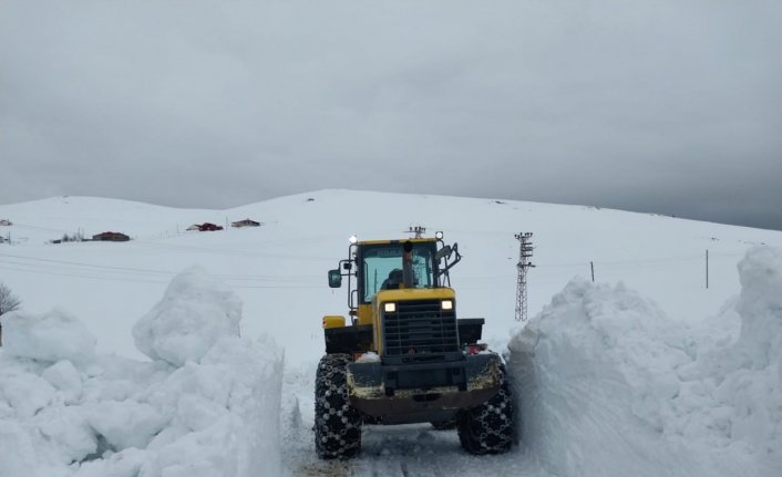 Karadeniz'de 4 ilde kar etkili oldu