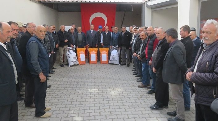 Merzifon'da çiftçilere nohut ve yağlık ayçiçeği tohumu dağıtıldı
