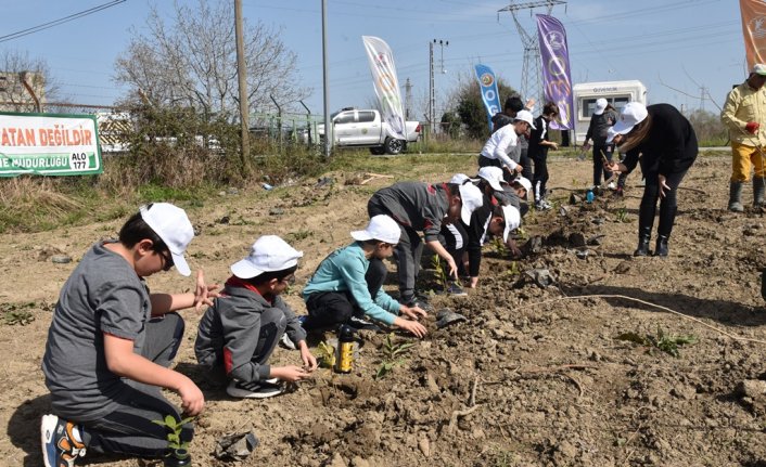 OMÜ Bafra Yerleşkesi'nde 1100 fidan toprakla buluşturuldu