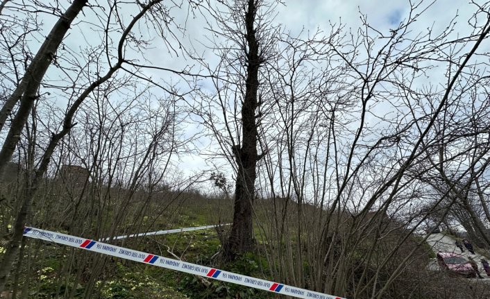 Ordu'da ağaçtan düşen kişi öldü