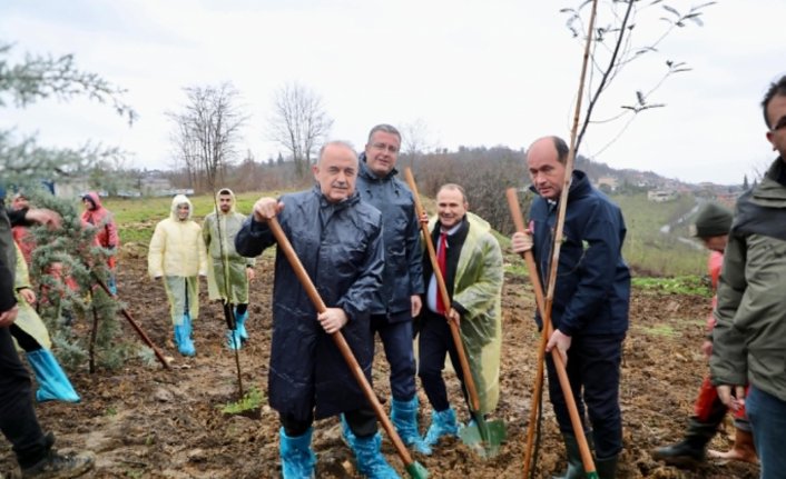 Ordu'da Dünya Ormancılık Günü kapsamında fidan dikimi yapıldı