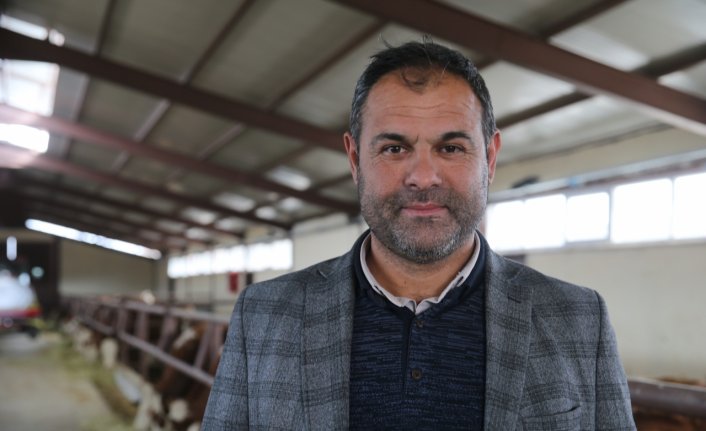 Tokatlı çiftçi 10 yıl aradan sonra 250 düve ile yeniden büyükbaş hayvancılık işine girdi