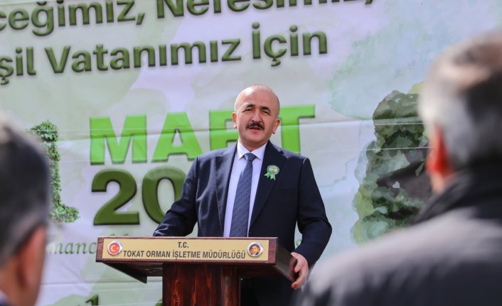 Tokat'ta 1500 çam fidanı toprakla buluşturuldu