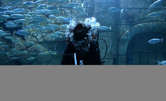 Trabzon Akvaryum'u ziyaretçiler en fazla balıkların beslenme saatlerinde geziyor