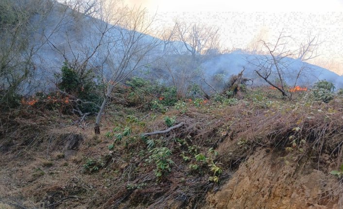 Trabzon'da çıkan örtü yangını kontrol altına alındı