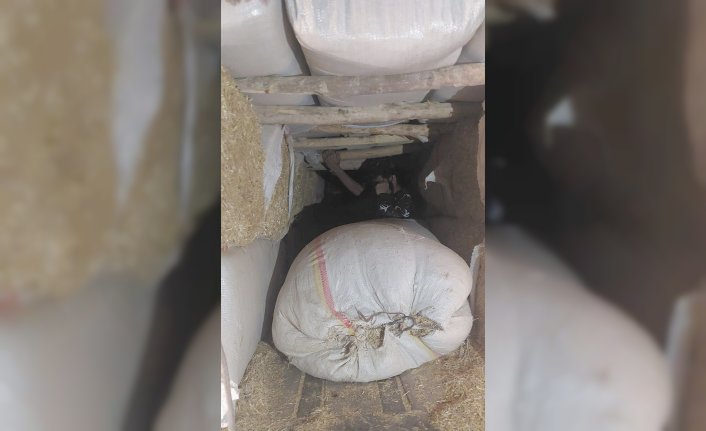 Artvin'de 15 düzensiz göçmen yakalandı