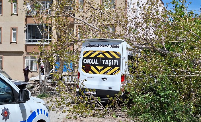 Bafra'da kesilen ağaç elektrik telini koparıp bir aracın üzerine düştü