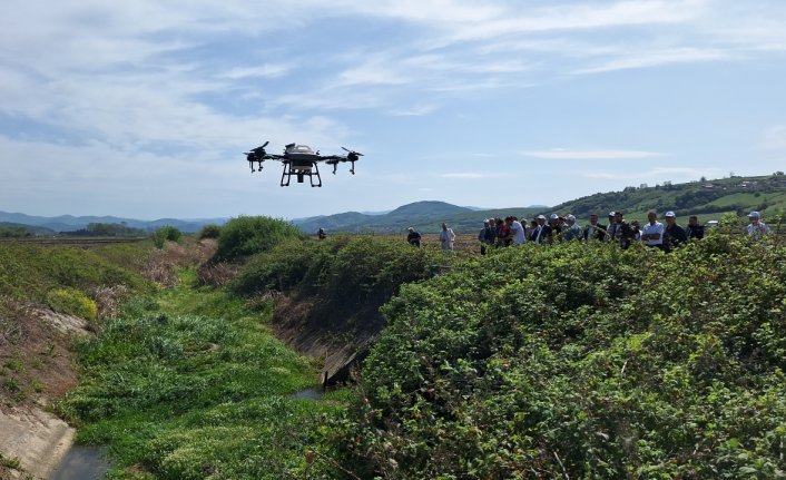 Bafra Ovası'nda sivrisinekle mücadele için dronla ilaçlama başlatıldı
