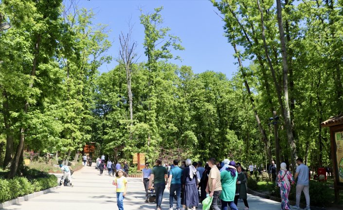 Bayram tatili Batı Karadeniz ve Doğu Marmara'nın turizm merkezlerini hareketlendirdi