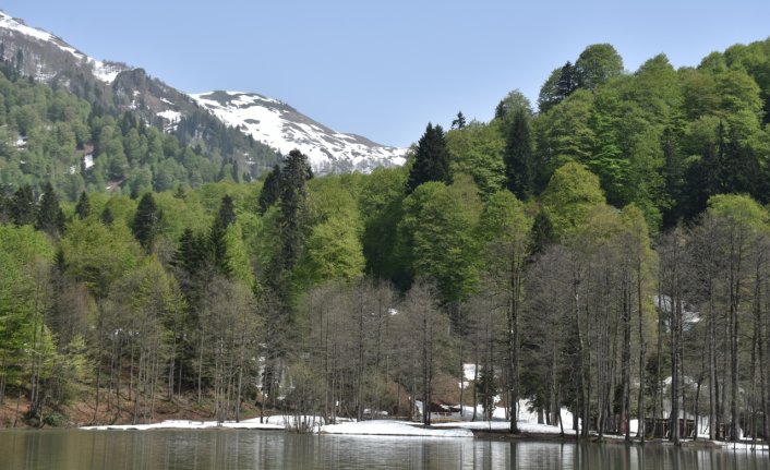 Borçka Karagöl Tabiat Parkı'na 1 milyonu aşkın ziyaretçinin gelmesi hedefleniyor