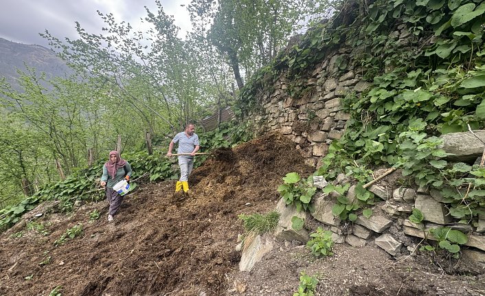 Dik yamaçlardaki tarım arazilerini toprak taşıyarak ekime hazırlıyorlar