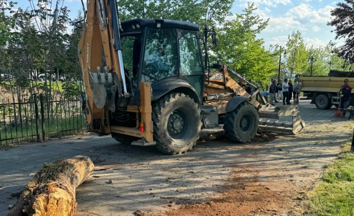 Düzce'de ağacın devrilmesi sonucu yere düşen kişi yaralandı
