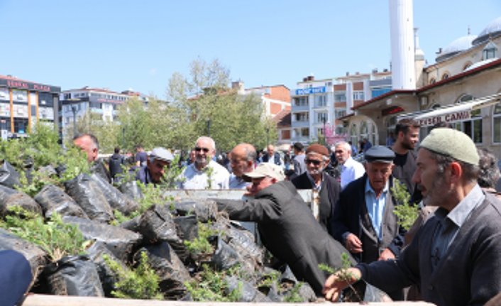 Havza Belediyesi vatandaşlara 1500 fidan dağıttı