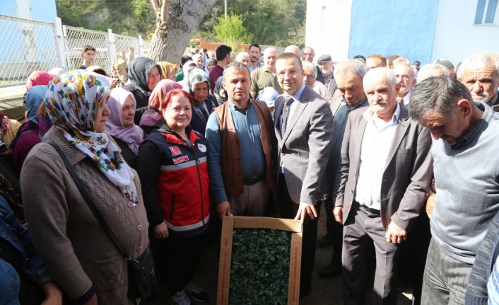 İnebolu'da TAKE Projesi kapsamında çiftçilere 100 bin fide dağıtıldı