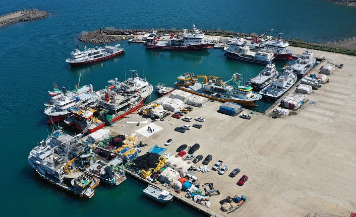 Karadenizli balıkçıları palamut üzdü, hamsi sevindirdi