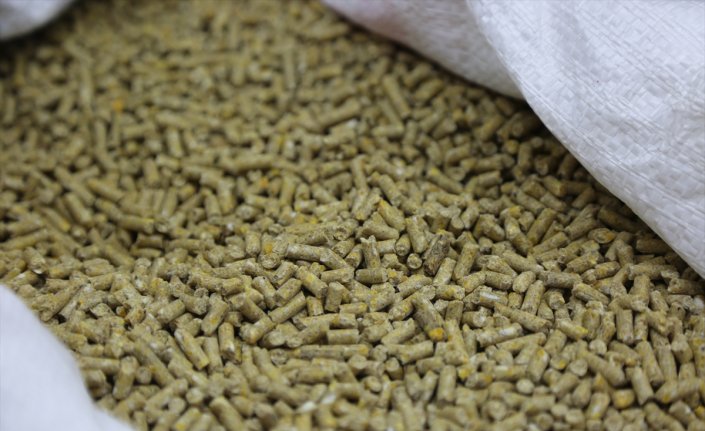 Konya Şeker Yem'in ürettiği Enerjim+ verimliliği daha da artırdı