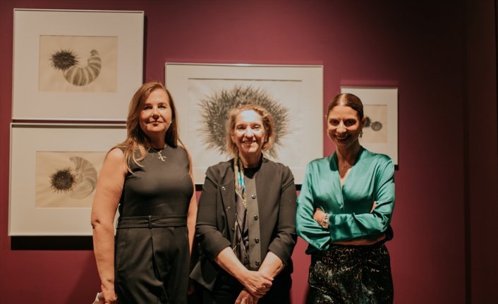 KTSM işbirliğinde “Bir Denizkestanesinin Anıları“ Ankara'da sergileniyor