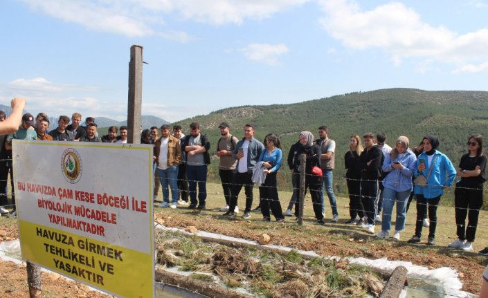 OMÜ Vezirköprü MYO Ormancılık Bölümü öğrencilerine saha eğitimi verildi