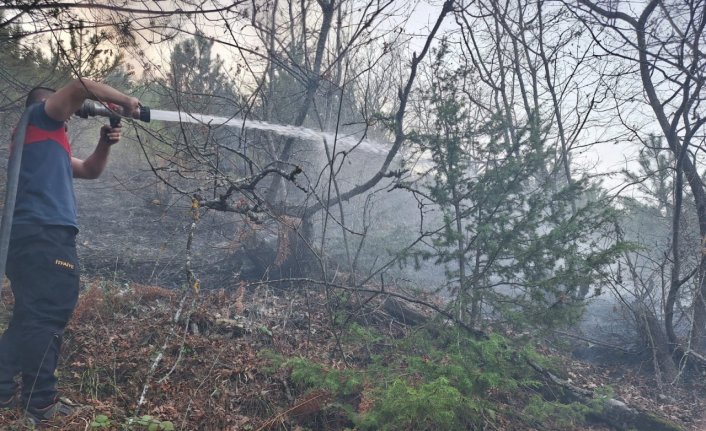 Sinop'un Gerze ilçesinde çıkan örtü yangını söndürüldü