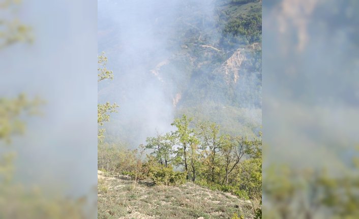 Tokat’ta ormanlık alanda çıkan örtü yangını söndürüldü