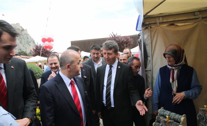 Tokat'ta Tarihi Sulu Sokak'ta fuar açıldı