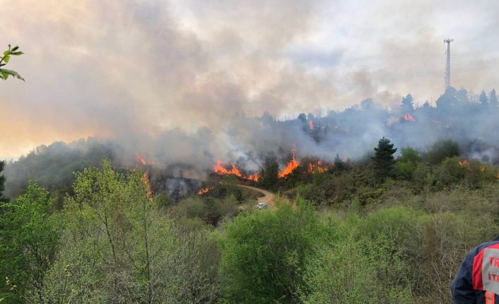 Trabzon-Giresun sınırındaki örtü yangını kontrol altına alındı