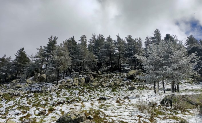 Bolu'nun yüksek kesimlerine kar yağdı