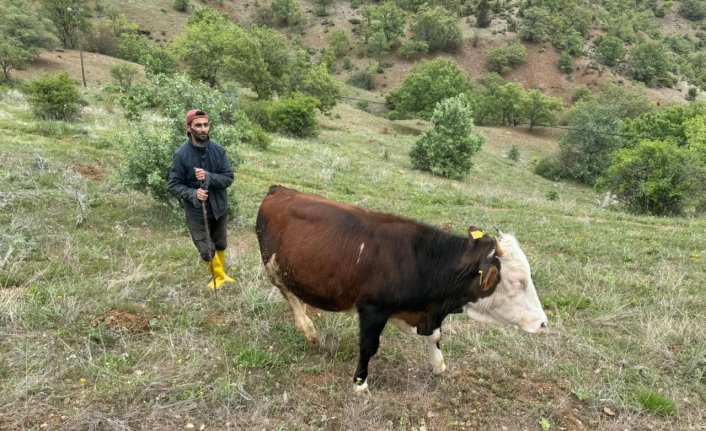 Devlet desteğiyle başladığı hayvancılığı 16 yıldır sürdürüyor