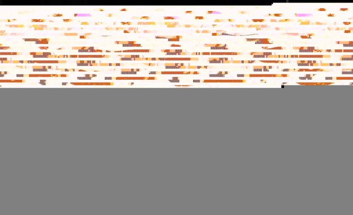 Giresun'da 27. Fevzi Bayazıtoğlu Tiyatro Günleri başladı