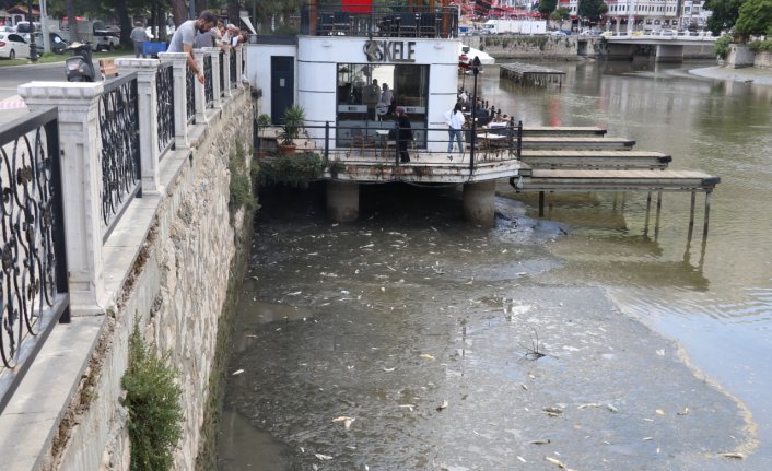 Amasya'dan geçen Yeşilırmak'ta balık ölümleri görüldü