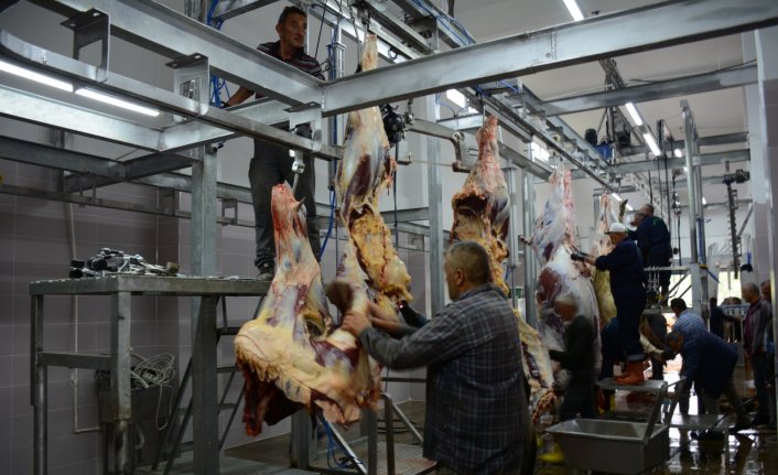 Başçiftlik Belediye Mezbahanesinde kurban kesim hizmeti veriliyor