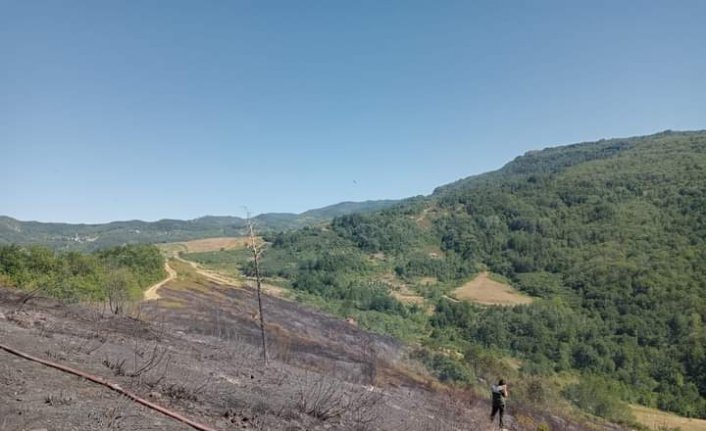 Kastamonu'da ormanlık alanda çıkan yangın söndürüldü