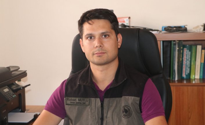 Havza Orman İşletme Şefliğinden ormanlara giriş yasağı açıklaması