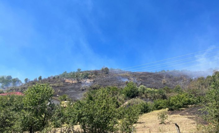 Kastamonu'da ormanlık alanda çıkan yangına müdahale ediliyor
