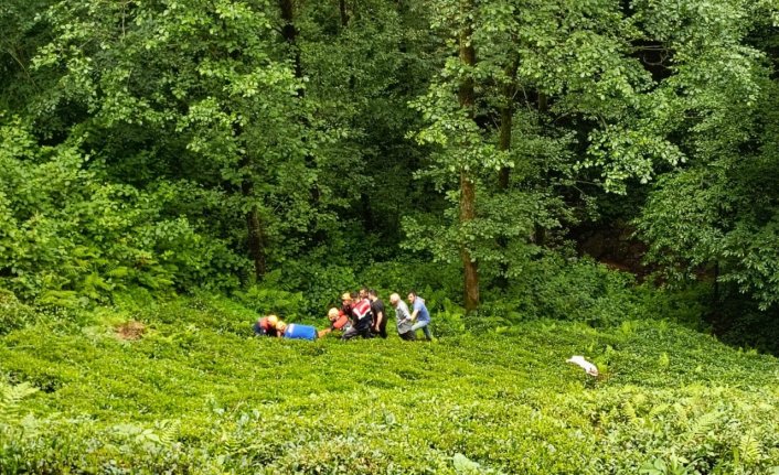 Rize'de odun keserken dereye yuvarlanan kişi yaralandı
