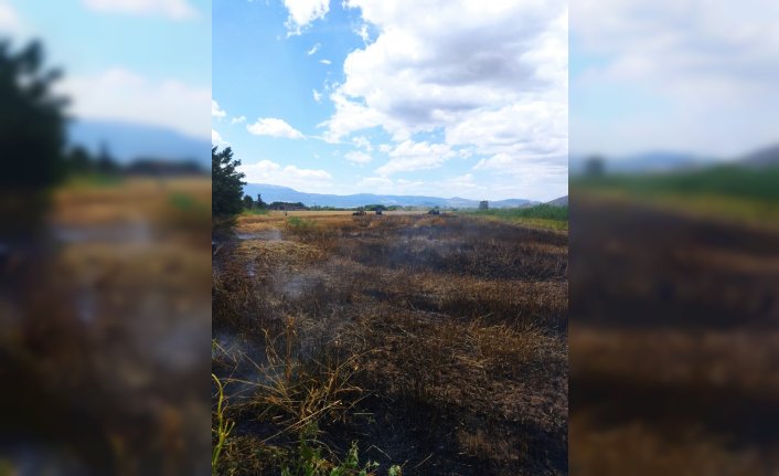 Tokat'ta buğday tarlasında çıkan yangın zarara yol açtı