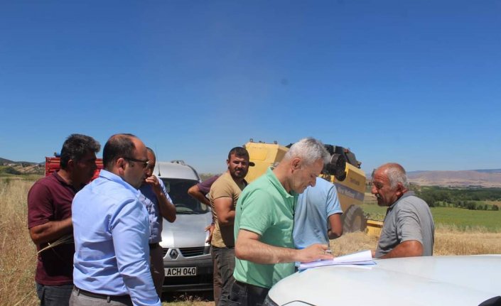 Tokat'ta hubat hasadı sürüyor