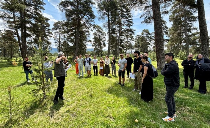 Yabancı öğrenciler, Bolu'daki ormancılık faaliyetlerini inceledi