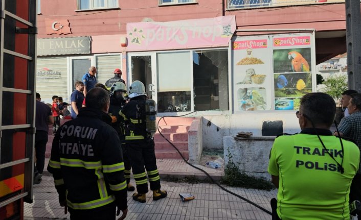 Çorum'da petshopta çıkan yangın söndürüldü
