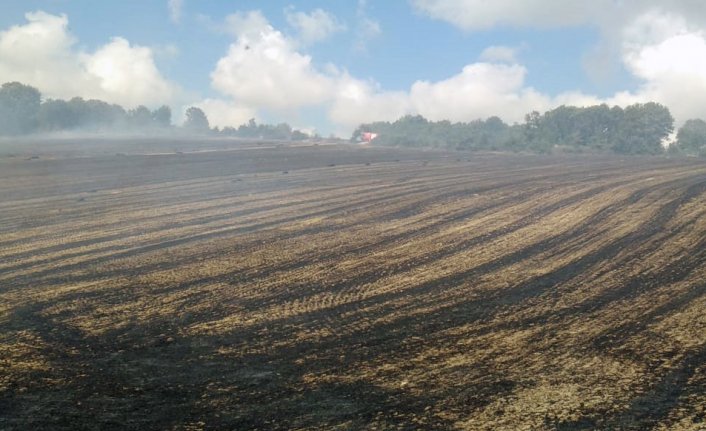 Bafra'da anız yangını yaklaşık 100 dönüm alanda zarara yol açtı