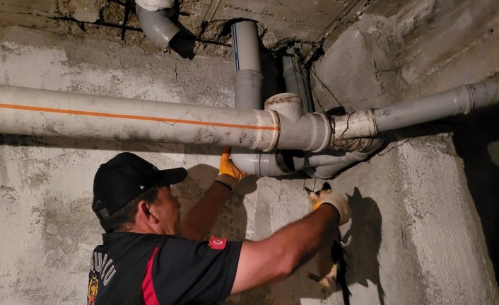 Çorum'da boru ve kuyuya sıkışan kedi ve köpekleri itfaiye ekipleri kurtardı