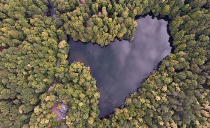 Yedigöller doğa tutkunlarını sonbaharın güzelliğini keşfe çıkarıyor