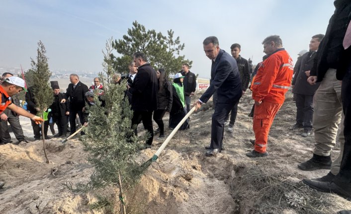Çorum, Sinop ve Çankırı'da Milli Ağaçlandırma Günü'nde fidanlar toprakla buluşturuldu